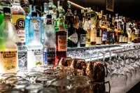 Art Hotel Grivola - bar