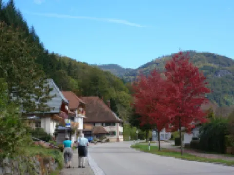 Haus Barnabas im Engel, Gasthaus Engel Hotels in Todtnau