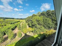 Hotel Thesdorfer Hof Hotels in Pinneberg