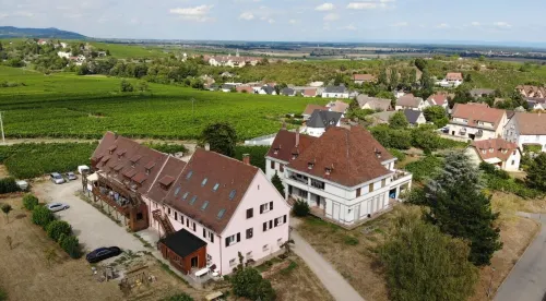 Gîtes au Domaine Greiner Hotels in Riquewihr