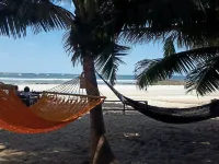 Hotel la Palapa - Sea View