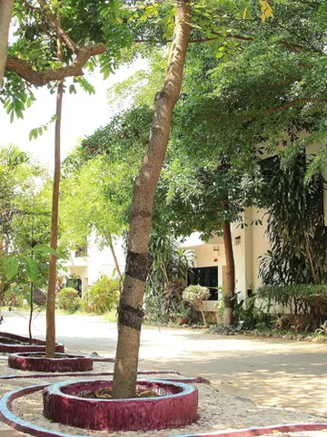 รูปภาพของChayada Garden House & Resort Hotel(ชญาดา รีสอร์ท)