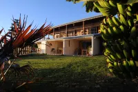 Leu Bleu Austral