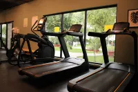 Áurea Hotel and Suites Các khách sạn ở Los Gavilanes