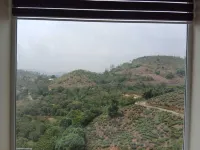 Foggy Knolls Resort - Mountain view