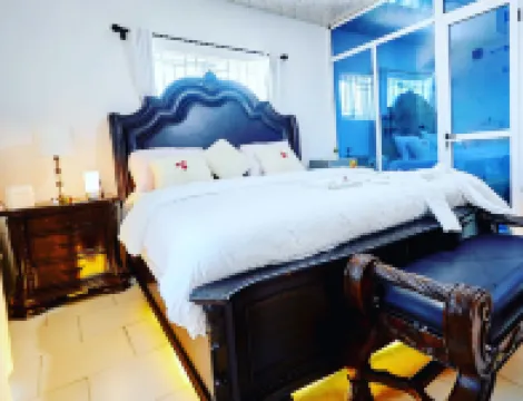 베니스 뷰 비치 리조트  호텔