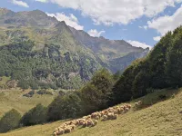 large capacity village house