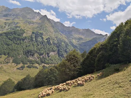 large capacity village house