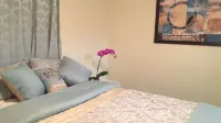 Gorgeous house nearby beach in 5 minutes Hotels near Key Vista Nature Park