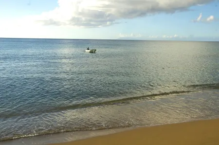 SEASIDE COTTAGE-LOC. VEHICLE-SPA-PISCINE-beach equipment rental. Отели рядом с достопримечательностью «Deshaies»