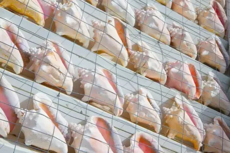 Family / Pet-friendly! Blocks from beach. Full kitchen, huge bathroom and deck! Отели рядом с достопримечательностью «Port Of Galveston»