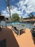 The Raabbit Hole