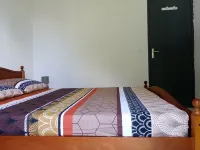 36 Baltazia