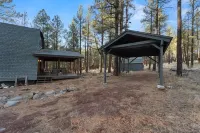 Williams NEW in the Pines - Grand Canyon Getaway!