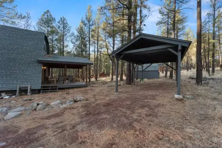 Williams NEW in the Pines - Grand Canyon Getaway!