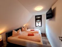 Newly renovated vacation home with large garden and terrace