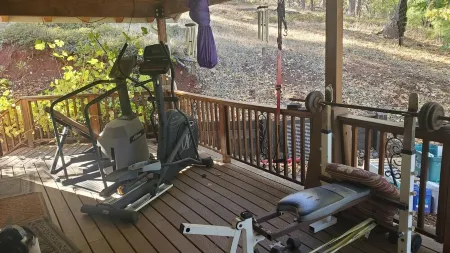 Peaceful Elegace in the Forest