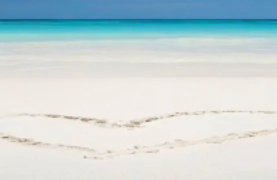 Grace Bay Beach 7Acre Resort: Guesthouse Ocean Views+Pool+Oceanfront+Lush Garden