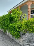 Charming 2-Bedroom House in Tranquil Staniel Cay near Thunderball Grotto