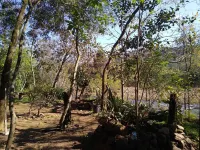 Hospedaria Vó Schutz 2 Các khách sạn ở Três Coroas