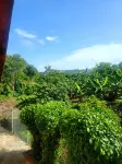 Comfort Suites - Two Bedroom Apartment Hotels near Choiseul Art Gallery and The Cultural Blend Museum