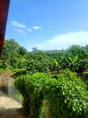 Comfort Suites - Two Bedroom Apartment 住宿飯店