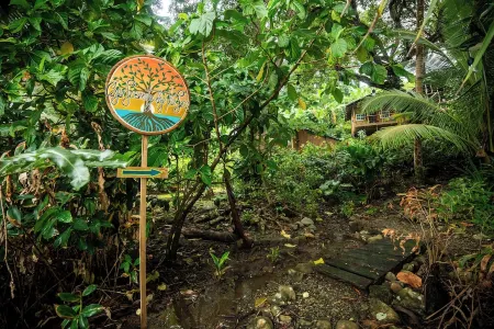 TREE FROG HOUSE: Waterfront, Caribbean Island Jungle Cabin in Bastimentos w/ AC Отели в г. Бастименто