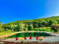 Longview Lodge 6 Bedrooms with Hot Tub & Swimming Pond, firepit, & pool table