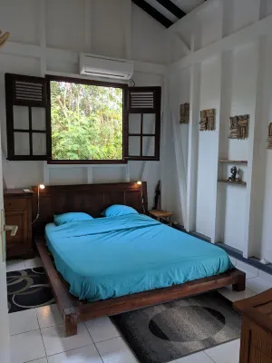 Villa Bois Zen: charming tropical accommodation (500 m from the beach) Hotels near Pointe des Châteaux