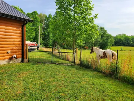 Dream cabin  with mancave and views of Lake Cumberland.