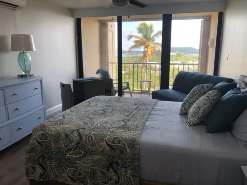 Newly Renovated Sapphire Beach Studio w/Balcony & Spectacular Ocean View