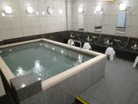 Hotel Alpha-One Yonago Hotels in Yonago