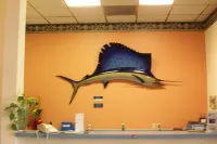 Lodi Valley Suites - Wifi