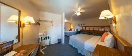 Triangle Motel Отели в г. Силвертон