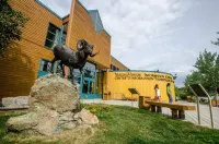 Raven Inn Whitehorse Hotels in Whitehorse