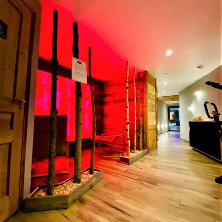 Hotel Alpina