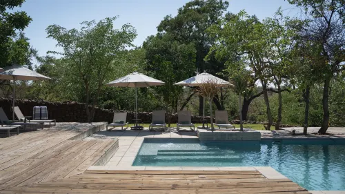 Mashatu Lodge - Mashatu Game Reserve