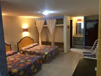 Hotel Delfines Acapulco by NG Hoteles - 2つ星