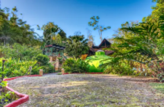 Tree House Lodge Hotels in 