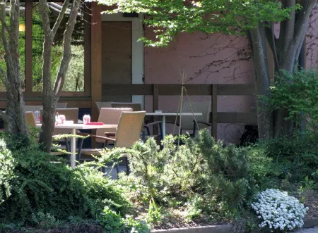 Hotel le Caballin Отели в г. Рюстенхар