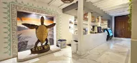 Casa Oro Eco Hostel - Hostels