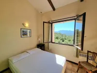 Villa with pool in the heart of olive groves Hotel a Pignans