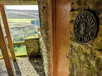 Chestnut Hotels in Alston