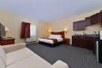 콜로라도스 블루 스프루스 인