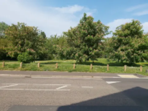 Huku Kwetu - Fieldfare Green