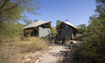 Trees N Tigers Luxury Wildlife Lodge