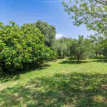 Lorenzin Hotel Exterior