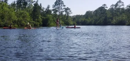 Kayaking paradise! Bring your boat Has boat dock!