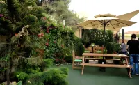 The Conroy Boutique Hotel Hotels in 