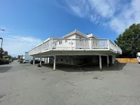 北極狐酒店 - 山景